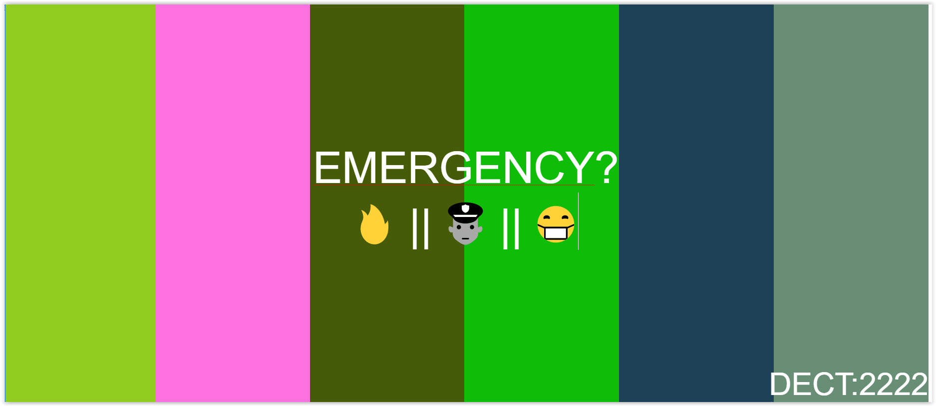 Emergency-dect.png